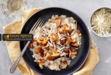 طرز تهیه ریزوتو با قارچ دنبلان؛ چگونه یک غذای اشرافی و رستورانی در خانه درست کنیم؟